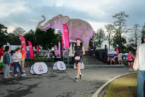 BIB: 
                            <button type="button" onclick="openModal(26529344)" class="btn btn-primary btn-sm float-right btn-popup" data-toggle="modal" data-target=".modal-high-quality">
                        <i class="fas fa-shopping-cart"></i> Add to Cart
                    </button>
                                            <button type="button" onclick="isThisMe(26529344, true)" class="btn btn-success btn-sm float-right btn-popup btn-isme hidden" data-toggle="tooltip" data-placement="bottom" title="นี่คือรูปของคุณใช่ไหม คลิกที่นี่เพื่อเอาเข้าอัลบั้ม">
                        <i class="fas fa-plus"></i> Add to album
                    </button>
                    <button type="button" onclick="isThisMe(26529344, false)" class="btn btn-warning btn-sm float-right btn-popup btn-isnotme hidden">
                        <i class="fas fa-ban"></i> Remove from album
                    </button>